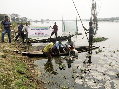 6 - 10 March, 2021 The four Wetlands of Assam namely Borboi Beel (Bongaigaon District), Ghorajan Beel (Kamrup Rural District), Rupahi Beel (Nagaon District) and Dandua Beel (Morigaon District) have been adopted by the ICAR-Central Inland Fisheries Research Institute, Barrackpore, Kolkata for carrying out the fish stock enhancement. The activities were carried out by ICAR-CIFRI, Regional Centre, Guwahati, Assam under the Institute’s NEH component. Around 1,60,000 advanced fish fingerlings comprising IMCs, Labeo bata and L. gonius were released at the rate of 40,000 fingerlings in each Beel from 6th to 10th March, 2021. The Institute also organized the Awareness Programmes to sensitize the fishers about the role of supplementary fish seed stocking in Beels. The Stocking-cum-Awareness Programmes were organized in collaboration with the Department of Fisheries, Assam and Assam Fisheries Development Corporation Ltd., Guwahati, Assam. Dr. B.K. Das, Director, ICAR-CIFRI, Barrackpore, Kolkata and Dr. B.K. Bhattacharjya, Head, ICAR-CIFRI, Regional Centre, Guwahati, Assam were also present during the occasion. The main objectives of the Stock Enhancement Programmes were to create awareness on the importance of fish stock enhancement in Beels and at the same time, improving their livelihood through increased fish production and income. A total of 2,491 fisher families of four Beels are expected to get the benefits of supplementary stocking programmes. (Source: ICAR-Central Inland Fisheries Research Institute, Barrackpore, Kolkata)
