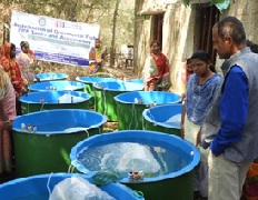 ICAR-CIFRI establishes Ornamental Fish Units for Tribal Women 02