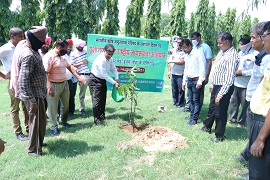 ICAR-CIPHET, Ludhiana organizes Plantation Drive in Punjab