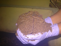 ICAR-DPR and ICAR-CRIDA develops Poultry Litter Compost and Vermicompost by mixing Saw Chips - Wealth out of Waste