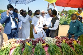 ICAR-IIHR, Bengaluru organizes National Horticulture Fair - 2021 04