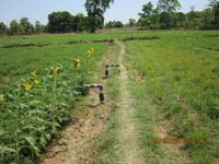 ICAR-IIWM-SS-02-12-2016-2