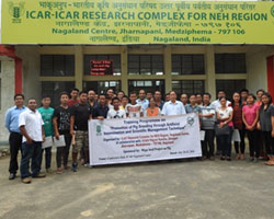 ICAR-nagaland-25-07-2016-2