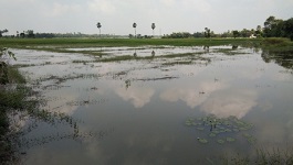 IIWM-ss-09-01-2020-1