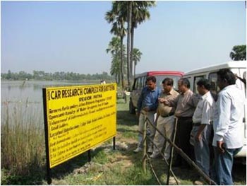 Income-Generation-Chaur-2