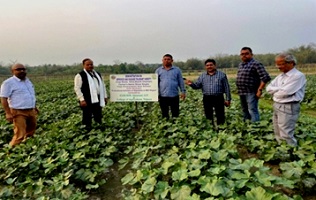 Inputs-distribution-Monitoring-NEH-ICAR-IIVR-03