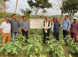 Inputs-distribution-Monitoring-NEH-ICAR-IIVR-04