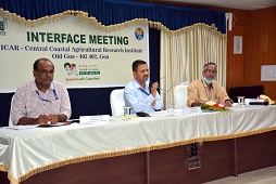 Interface Meeting of ICAR-CCARI and Directorate of Agriculture, Government of Goa organized