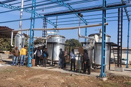 Jamarosa-01-12012021