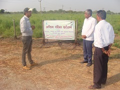 Jamarosa-03-12012021