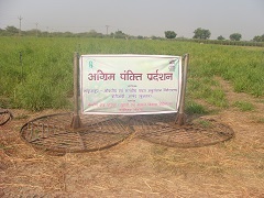 Jamarosa-04-12012021