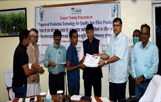 Jute-Fibre-Production-02