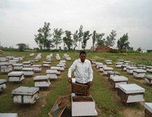 KVK, Lucknow under ICAR-IISR grooms a Marginal Land Holding Farmer to earn Crores from Beekeeping 03