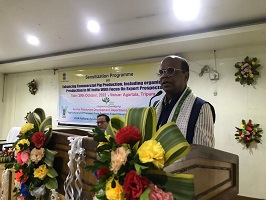 Micro-pig-abattoir-01