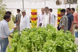 Millets-Fair-cum-Exhibition-Jodhpur-06