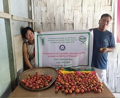 Transforming rural livelihood of Mizo farmers through community based adaptation of farm mechanization and intensified cropping systems