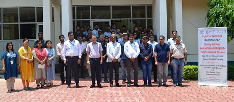 Molecular-Diagnostic-Tools-011