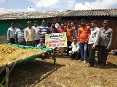 Mushroomhouse-032020