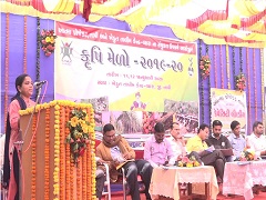 Mushroomhouse-042020