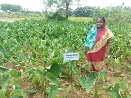 Institutional Mechanism and Technological Backstopping to Promote Women Entrepreneurship in Agriculture