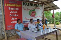 NRC-orchids-26-07-2016-1