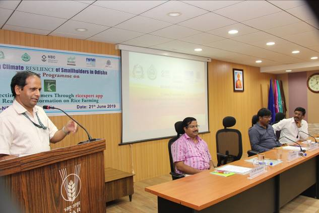 National-Rice-Research-Institute-1