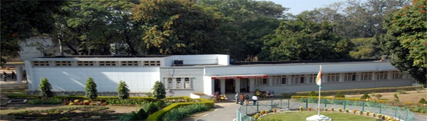 Natural-Resins-Gums-01