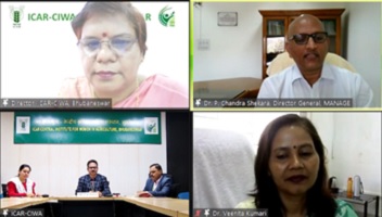 On-line-Collaborative-01