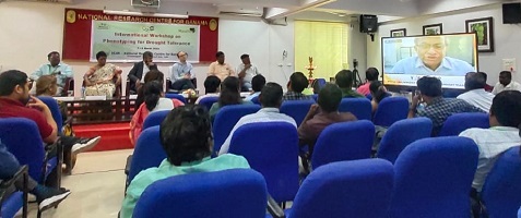 Phenotyping-drought-tolerance-02