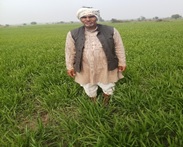 Popularization of Kathia Wheat (Variety HI-8717) for enhanced income 01