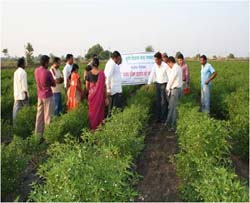 Prosperity-01-11122013