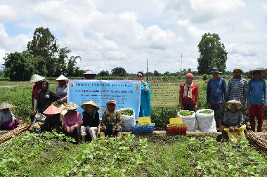 Demonstration of Improved Chilli Varieties ‘Arka Khyati’ and ‘Arka Meghana’ in Bishnupur District, Manipur