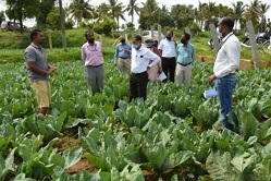 SS-IIHR-11-12-2020-1s