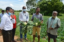 SS-IIHR-11-12-2020-6s