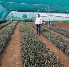 SachinJha-budding-Agri-entrepreneur-02