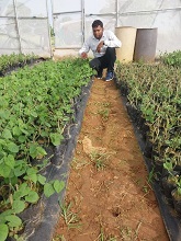 SachinJha-budding-Agri-entrepreneur-01