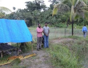 SatelliteFish0117022014