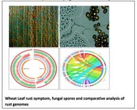 Screen Shot 2017-02-25 at 10.47.29 AM