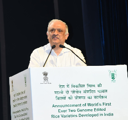 Union Agriculture Minister Shri Shivraj Singh Chouhan Announces Two Genome-Edited Rice Varieties Developed in India