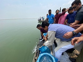 Sixty-thousand-fish-seeds-ICAR-CIFRI-03