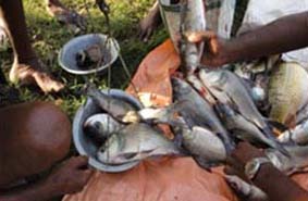 UtilizeFloodWater-02