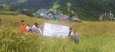 Less Time, Higher Yield: VL Mandua 376 Emerges as a Promising Finger Millet Variety for Tawang Farmers