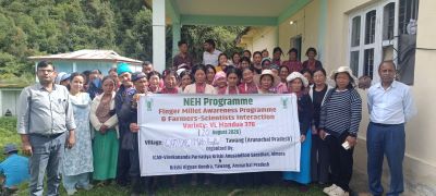 Less Time, Higher Yield: VL Mandua 376 Emerges as a Promising Finger Millet Variety for Tawang Farmers
