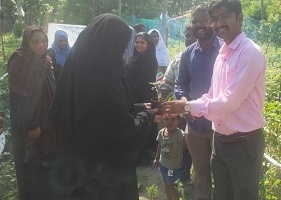 Vegetable-cultivation-Tomato-Minicoy-02_1