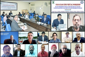 Virtual-Workshop-on-Inland-Fisheries-in-India-01