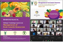 Virtual_Training_Programme_02