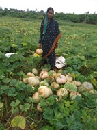 Women Empowerment and Gender Sensitization - Developing a Model for Bridging Gender Gap 03