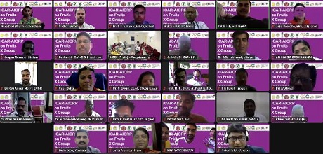X-Group-Discussion-ICAR-AICRP-Fruits-02_0.jpg