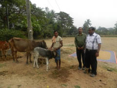 aicrp-ifs-ss-18-02-2013-2