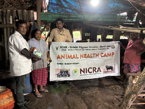 Field Day and Animal Health Camp Conducted at Mayem under NICRA Project